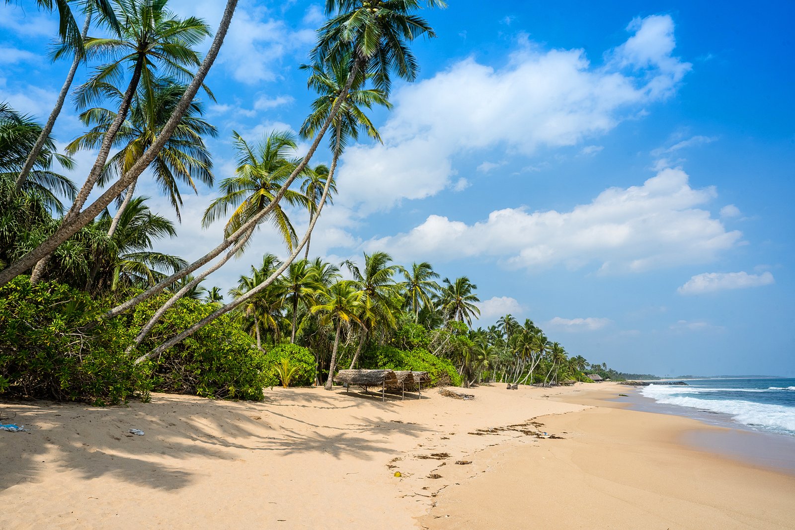 Tangalle coast